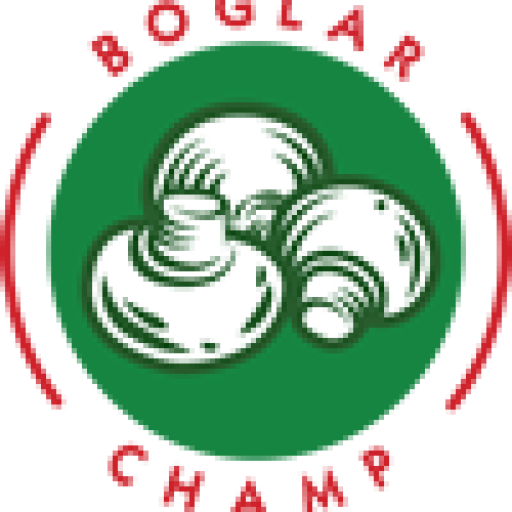 Logo BOGLAR CHAMP SRL