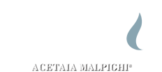 Logo ACETO SRL