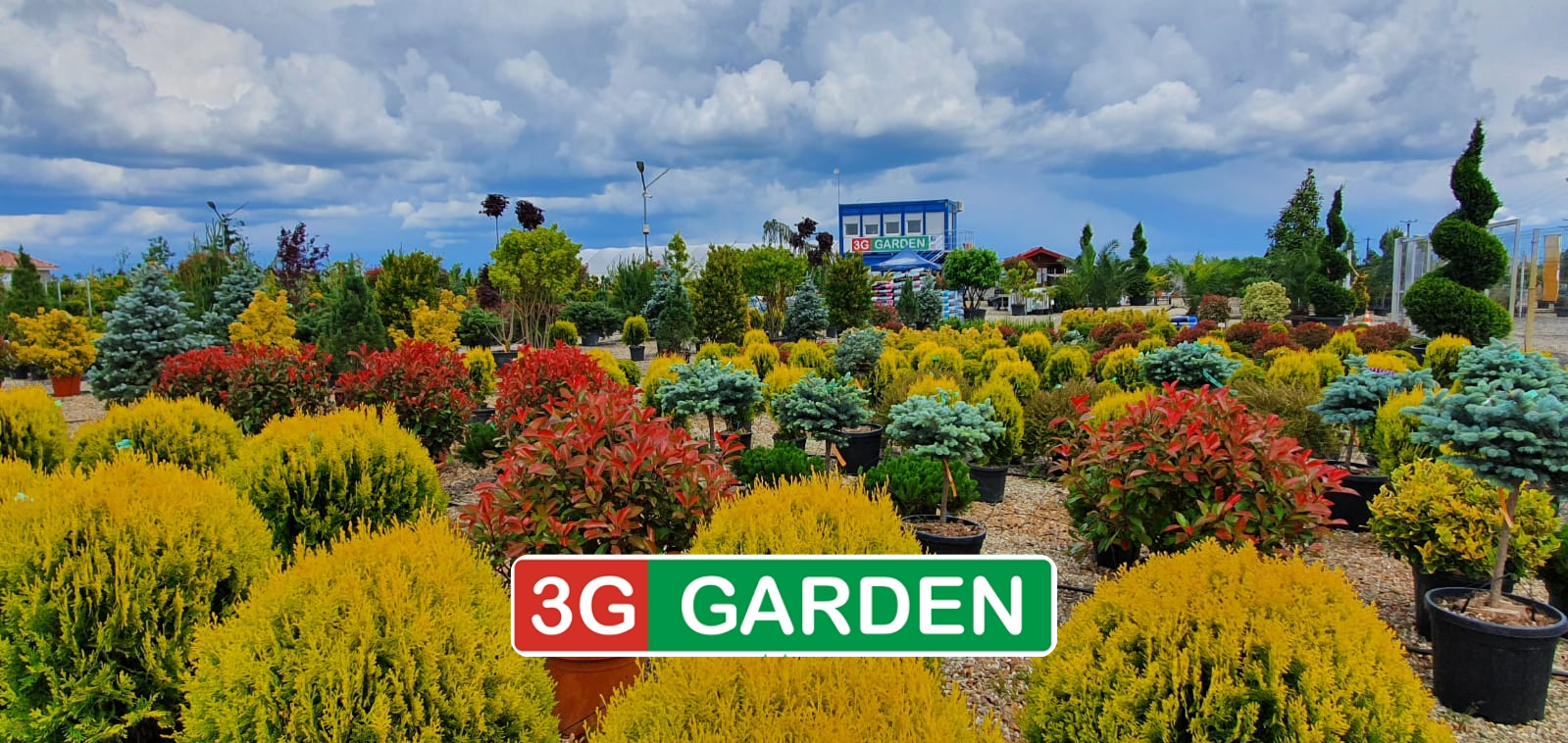 Logo 3G GARDEN SRL