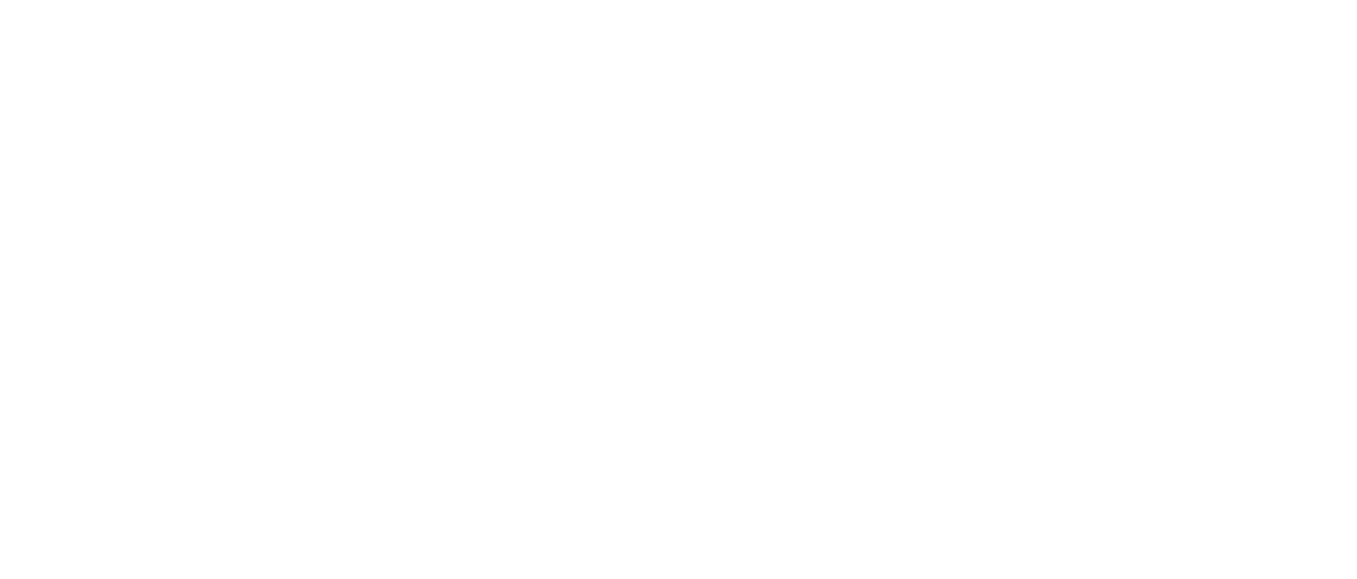 Logo ACASĂ ÎN BUCOVINA S.R.L.