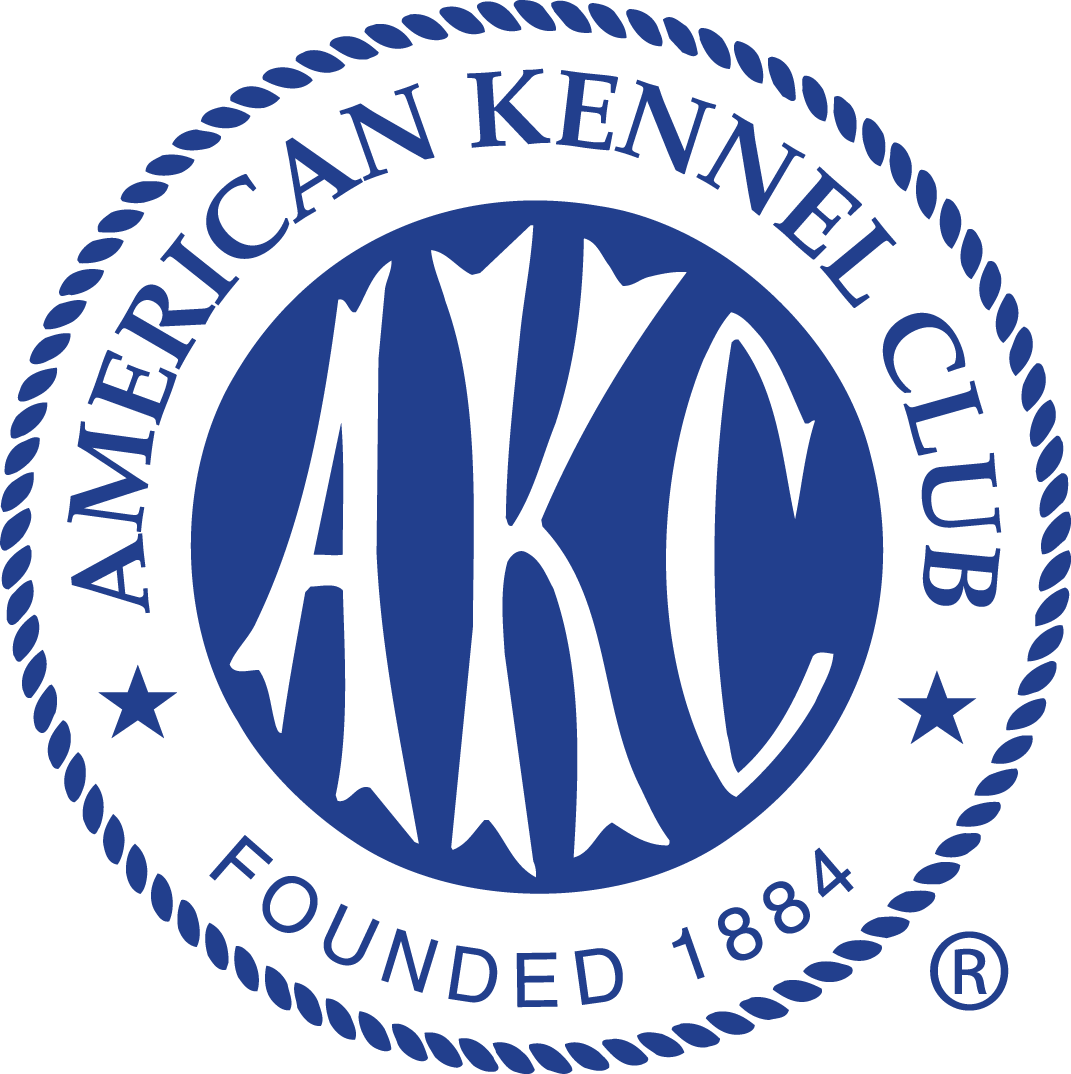 Logo ADAD AKC S.R.L.