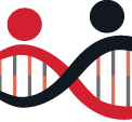 Logo ACTIVMED RESEARCH S.R.L.